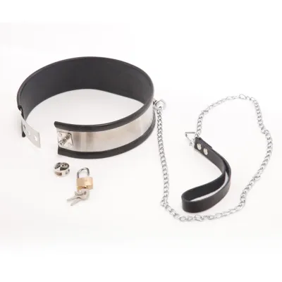 Rapture Steel Band Collar with Leash Small