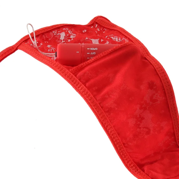 My Secret Treble Remote Panty Vibe Set