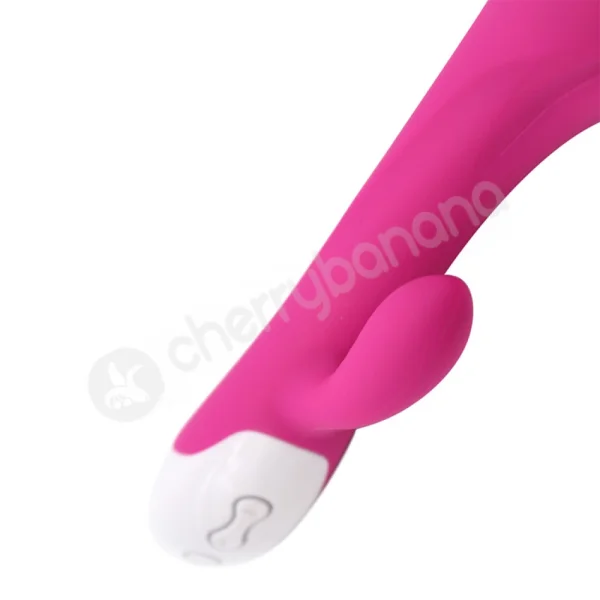 Cherry Banana Pink Rose 8 Function G-spot Rabbit Vibrator