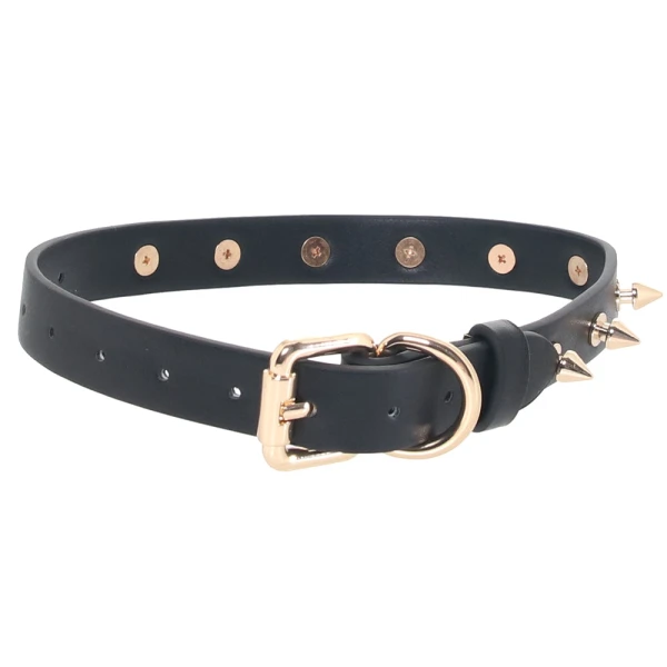 Fetish & Fashion Medusa Spiked Collar By NS Novelties - Black & Gold