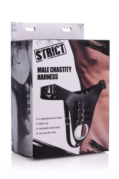 Male Chastity Harness