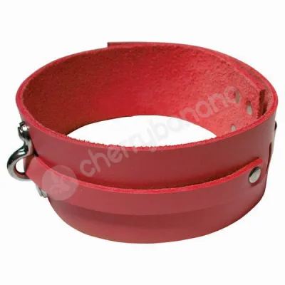 Kinklab Bondage Basics Red Leather Collar