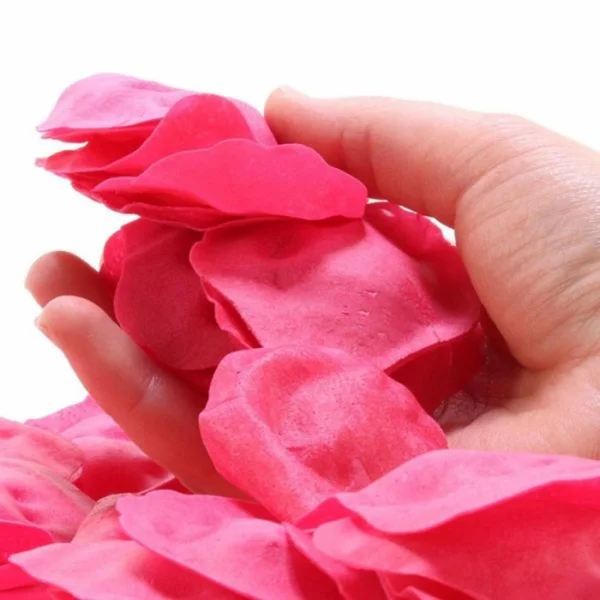 Melting Rose Petals