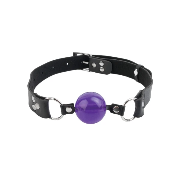 Fetish Fantasy Penis Ball Gag