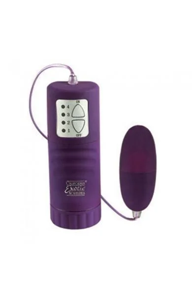 Waterproof Pocket Exotics - Bullet