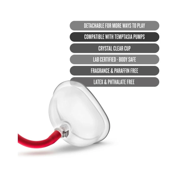 Temptasia Vulva Cup - Clear