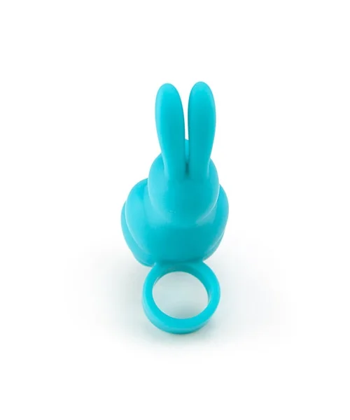 Sweet bunny
