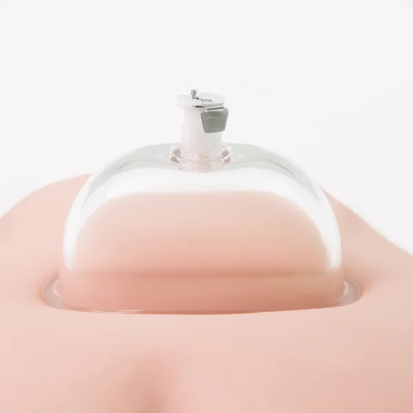 Blush Temptasia Vulva Cup Pumping Accessory