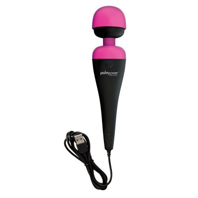 BMS Factory PalmPower Plug Play Massager Corded Rechargeable Wand Vibrator