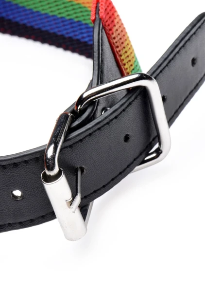 Kinky Pride Rainbow Bondage Set