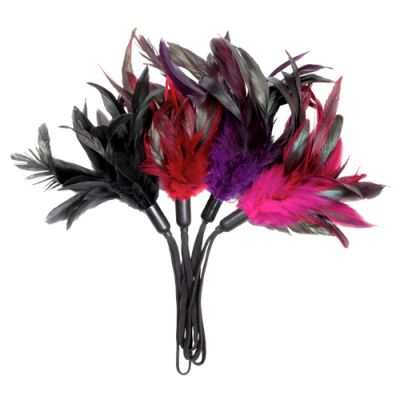 Sportsheets Pleasure Feather Red