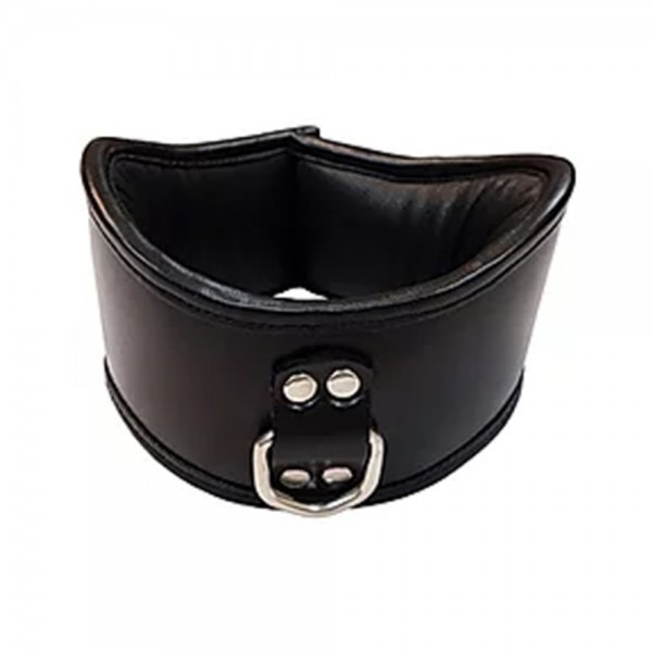 Rouge Posture Collar With 1 D-ring