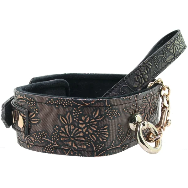 Lockable Lined Collar and Leash