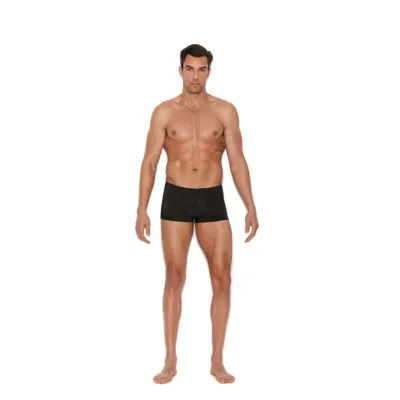 Men s Lycra Boxer Brief Large xlarge Black