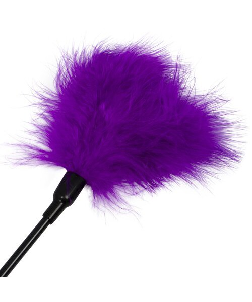 Bondara Feather Tickle and Tease - 17 Inch