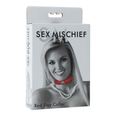 Sportsheets day collar