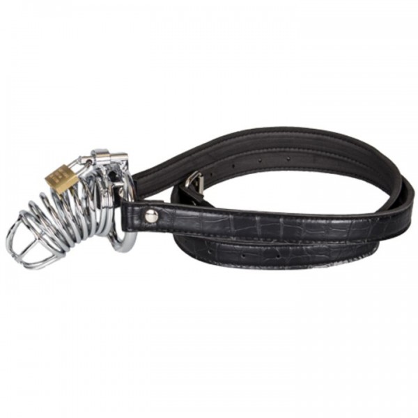 Fetish Fantasy Extreme Chastity Belt and Cock Cage — image 9 of 10