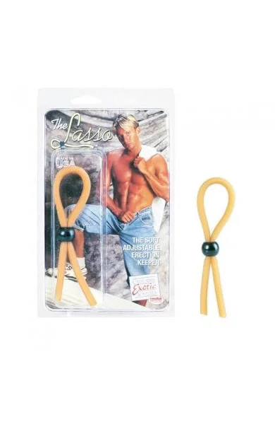 The Lasso