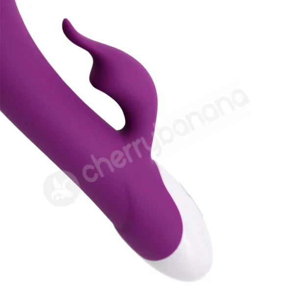 Cherry Banana Purple Tulip 8 Function G-spot Rabbit Vibrator