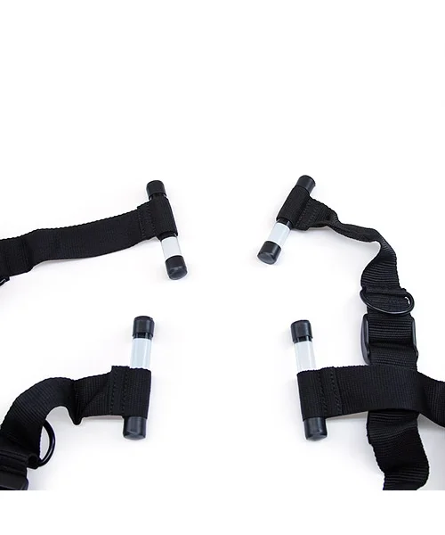 X style door restraint system