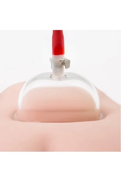 Blush Temptasia Vulva Cup Clear