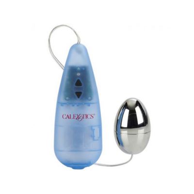 Pocket Exotics Impulse Egg Silver 2 Inch