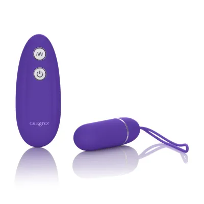 7 Function Lover s Remote Purple