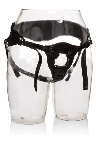 Her Royal Harness - The Queen