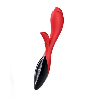 Zini Zook Red