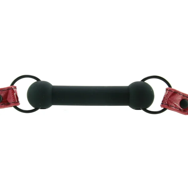 Sinful Bar Gag