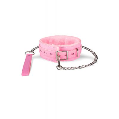 XOXO Chloe Collar with Leash