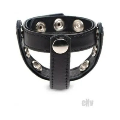 Cg Leather Snap on Harness Black