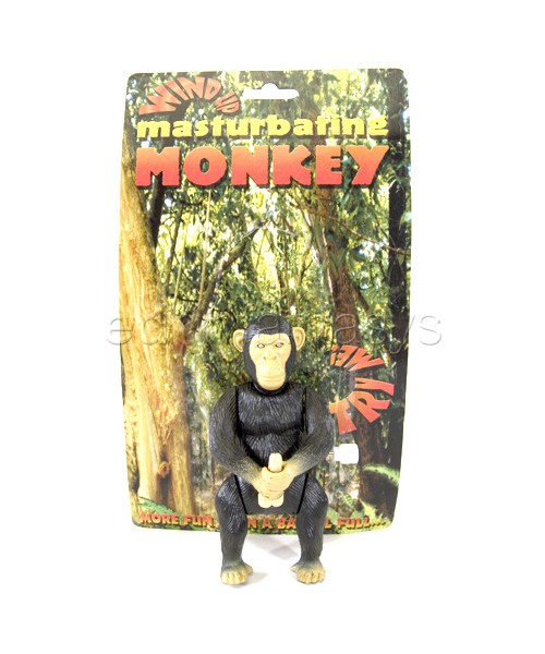 Masturbating monkey