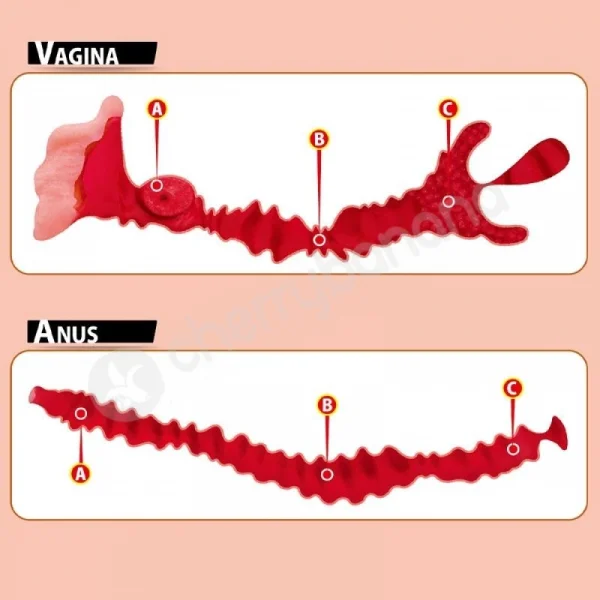 Kokos Adel Onahole Series Big Hip 001 Missionary Style Masturbator