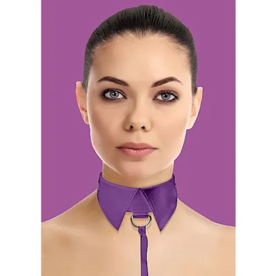 Classic Collar With Leash Purple