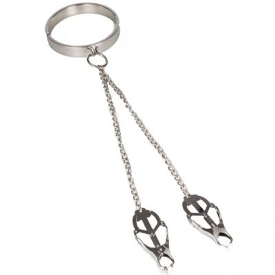 Torment Stainless Steel Collar with Clover Nipple Clamps