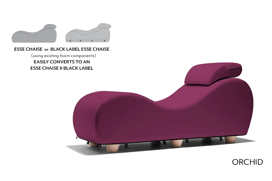 Esse Chaise II Black Label - Conversion Kit — image 18 of 25