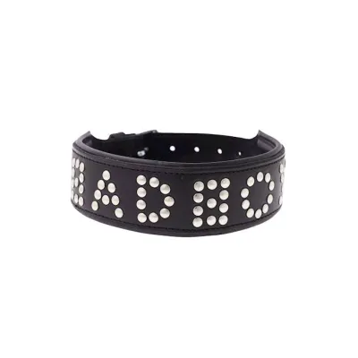 Bound X Bad Boy Studded Collar