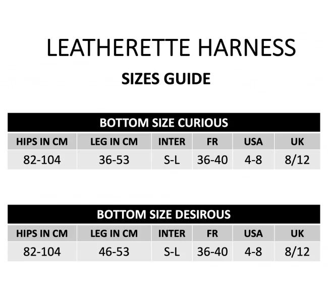 Strap-on-me Leather Harness Desirous