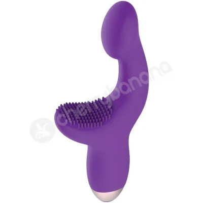 Adam Eve Silicone Rechargeable Purple G spot Pleaser Vibrator