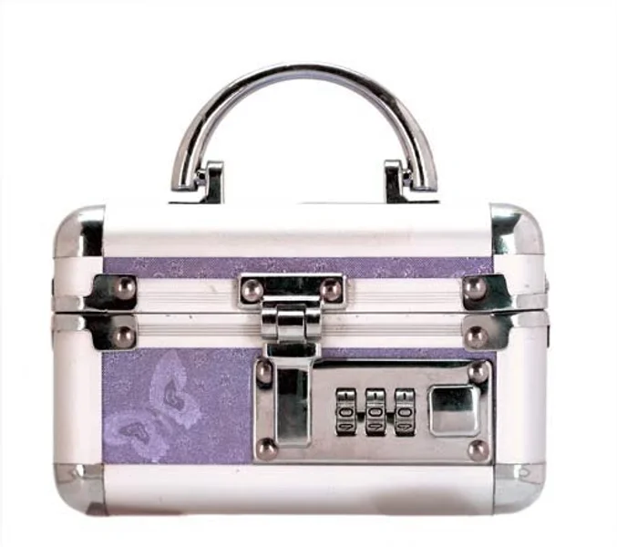 Lockable Vibrator Case Mini - 5 Inch Length — image 2 of 4