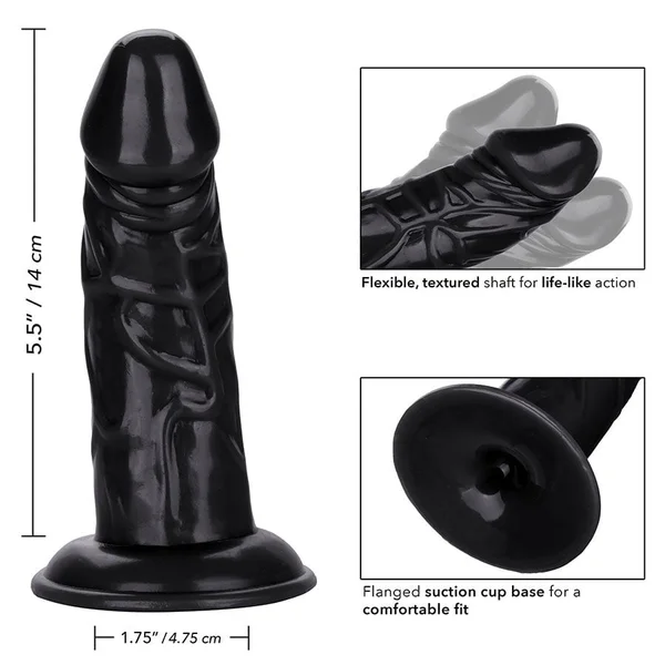 Back End Chubby Suction Cup Anal Dildo by Cal Exotics — image 8 of 11