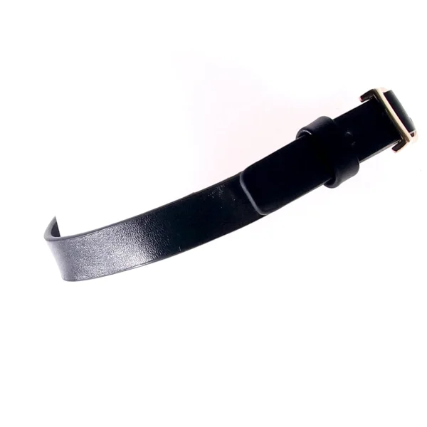 Sex & Mischief Double Buckle Day Collar By Sportsheets - Black & Gold