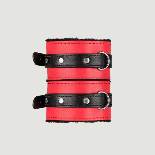 Secret Pleasure Chest Red Dragon Bondage Set