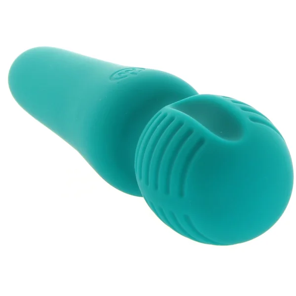 Eve's Petite Private Pleasure Wand