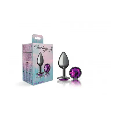 Cheeky Charms Gunmetal Grey Butt Plug with Purple Gem