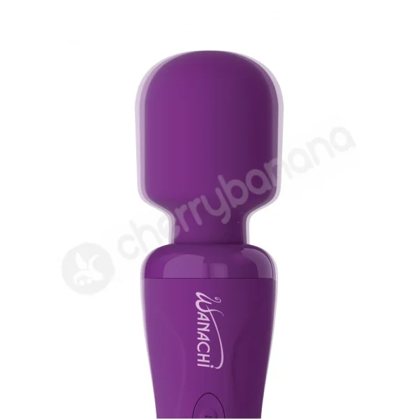 Purple Wanachi Body Recharger Massager