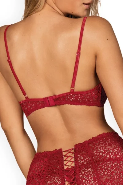 Lividia Red Lace Bra with Garter Belt & Thong By Obsessive