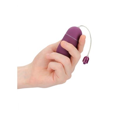 10 Speed Vibrating Egg Purple Egg Sex Toy