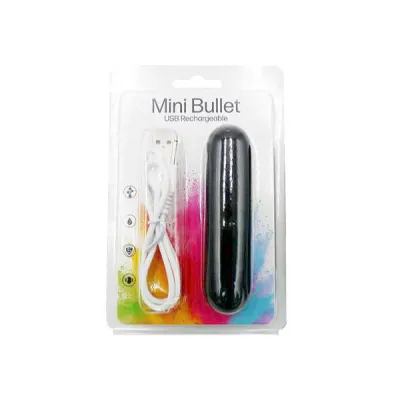 Mini Bullet USB Rechargeable Viibrator